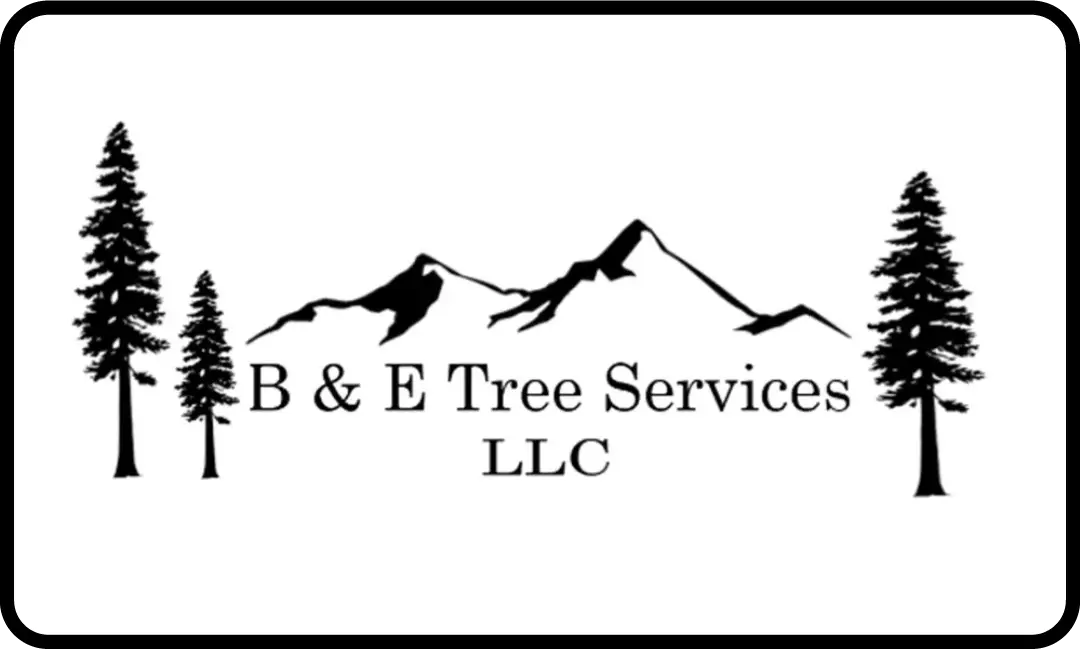 Tree Services Toutle WA | B and E Tree Services